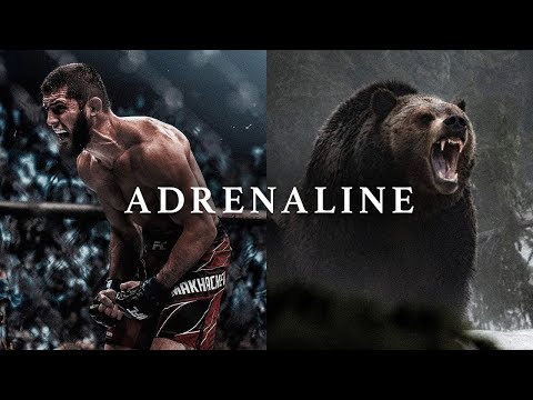 ADRENALINE 3.0 – The Most Powerful Motivational Speech Compilation