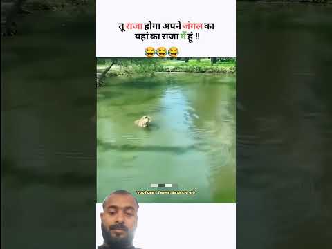 🔥💯powerful motivational quotes in Hindi 🤯#motivation #shortfeed #viralvideo #trend #lifechanging