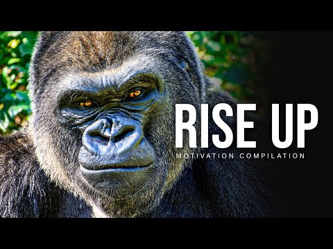 RISE UP – Best Motivational Speech Video Compilation | 30-Minutes of the Best Motivation