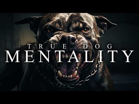 TRUE DOG MENTALITY – Best Motivational Video Speeches Compilation