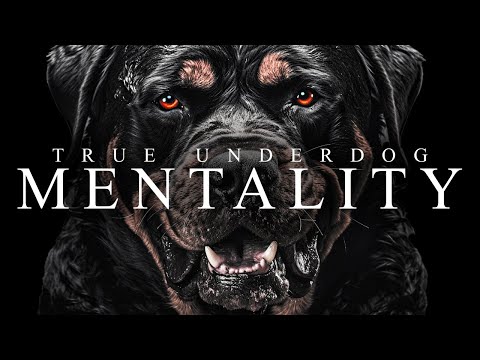TRUE UNDERDOG MENTALITY –  Best Motivational Video Speeches Compilation